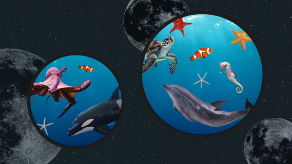 Classifying Marine Life underwater
